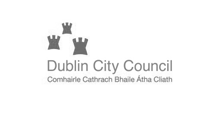 Dublin City Council mini