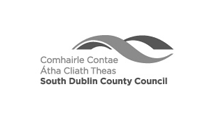Dublin City Council mini